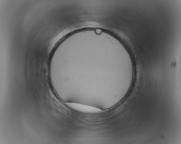 X0000114721318200911121724