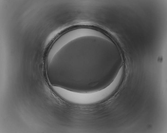 X0000114721319200911121724