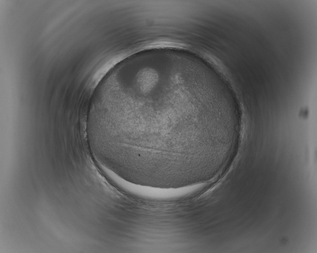 X0000114721321200911121724