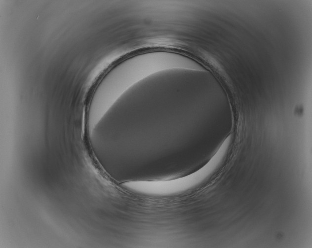 X0000114721323200911121724