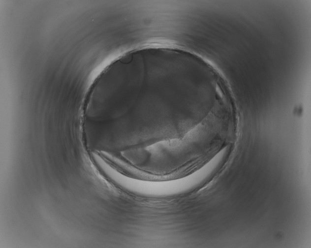 X0000114721325200911121724