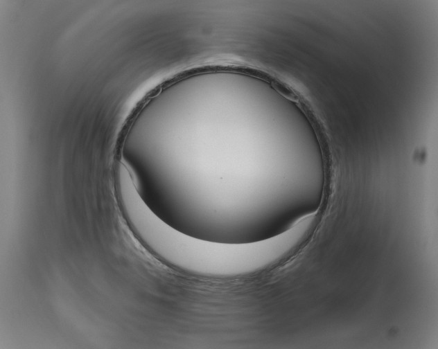 X0000114721326200911121724