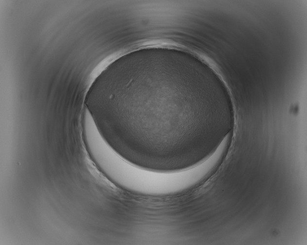 X0000114721330200911121724