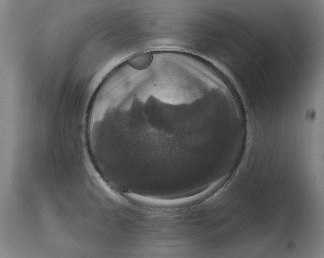 X0000114721333200911121724