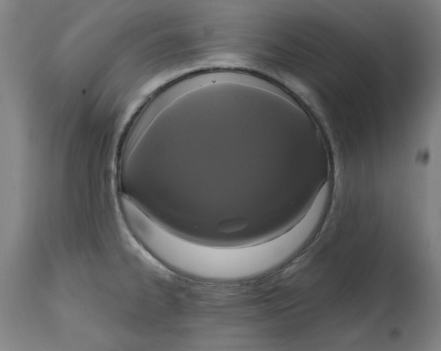 X0000114721334200911121724