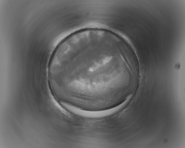 X0000114721335200911121724