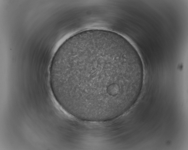 X0000114721341200911121724