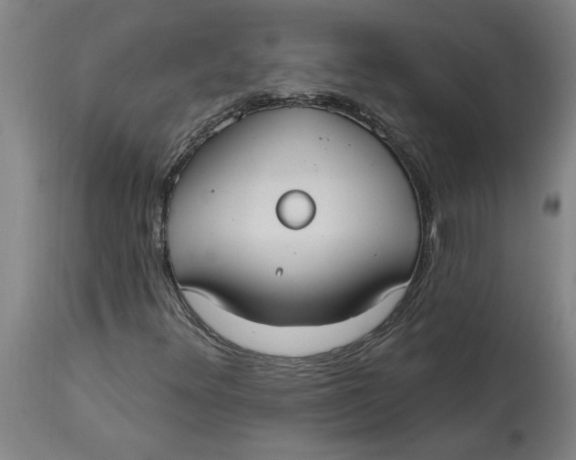 X0000114721348200911121724