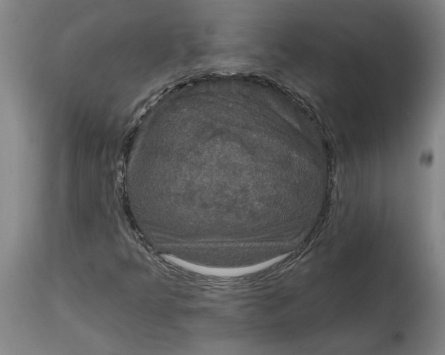 X0000114721349200911121724