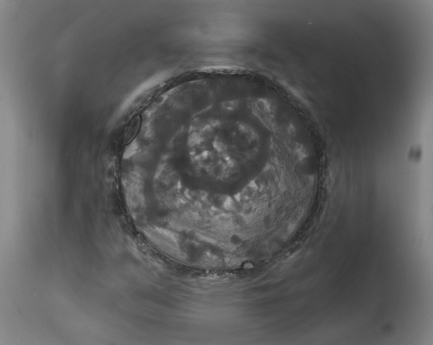 X0000114721351200911121724