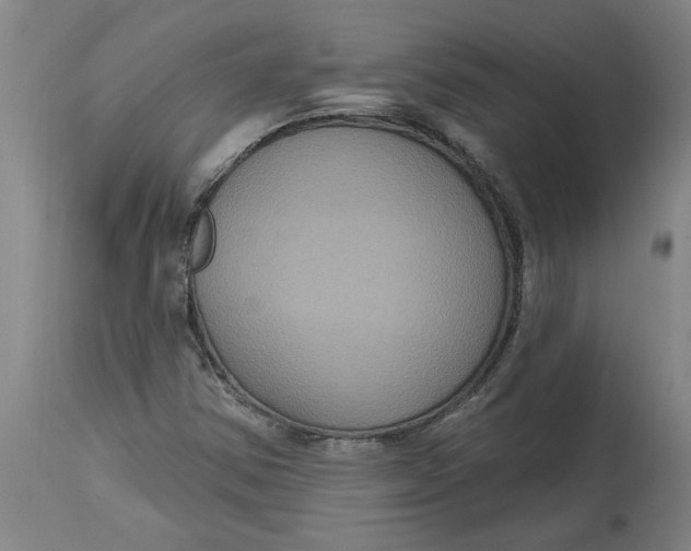 X0000114721354200911121724