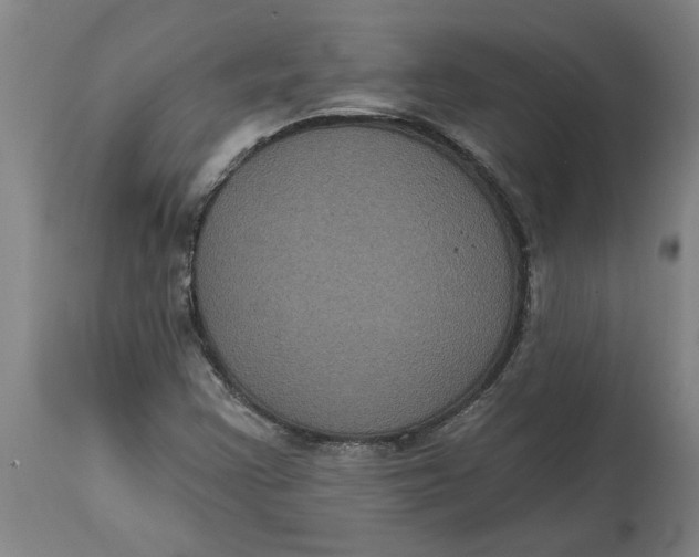 X0000114721355200911121723