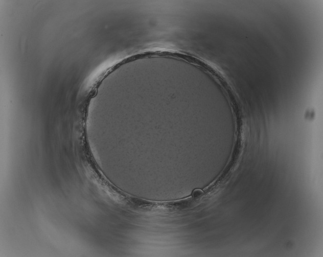 X0000114721359200911121723