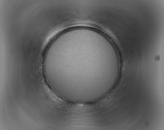 X0000114721360200911121723