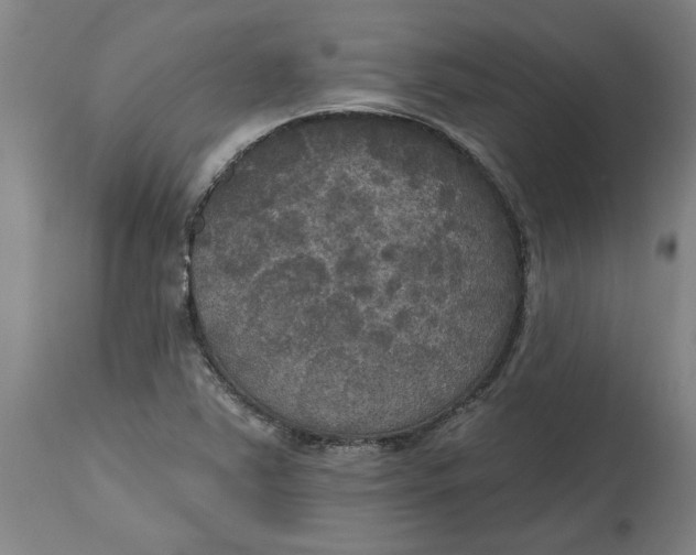 X0000114721363200911121723