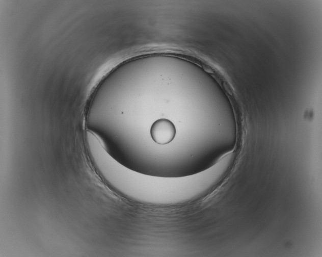 X0000114721365200911121723