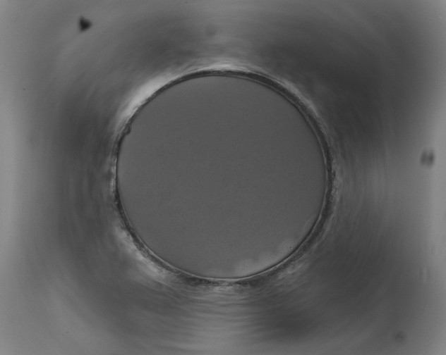 X0000114721367200911121723