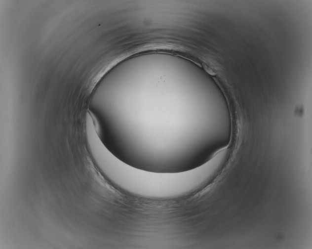 X0000114721369200911121723