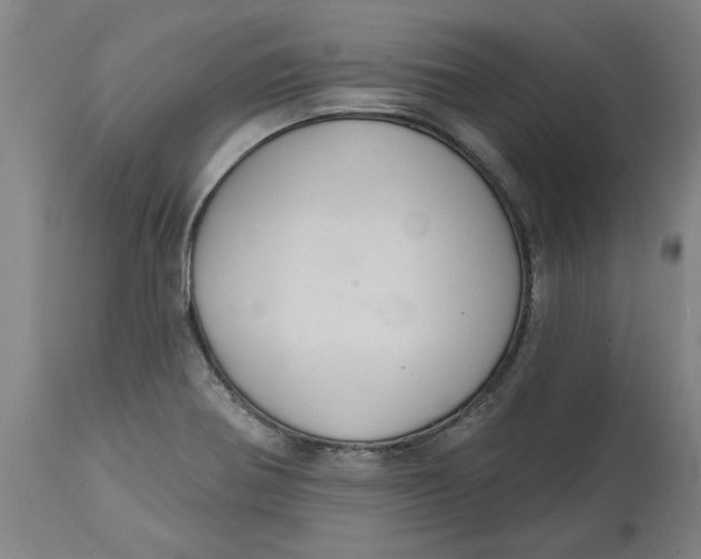 X0000114721370200911121723