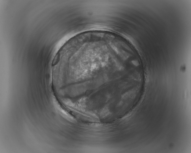 X0000114721371200911121723