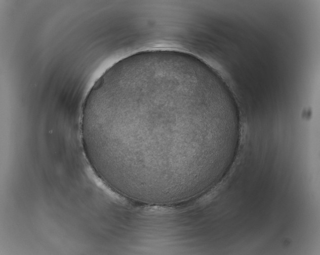 X0000114721374200911121723