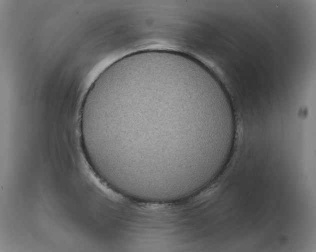 X0000114721375200911121723