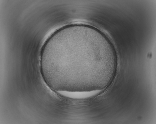 X0000114721376200911121723