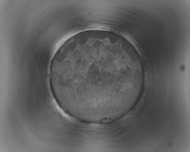 X0000114721379200911121723