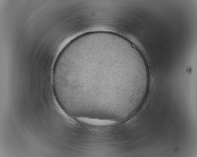 X0000114721380200911121723