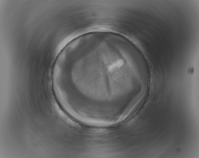 X0000114721382200911121723