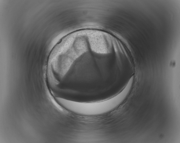 X0000114721383200911121723