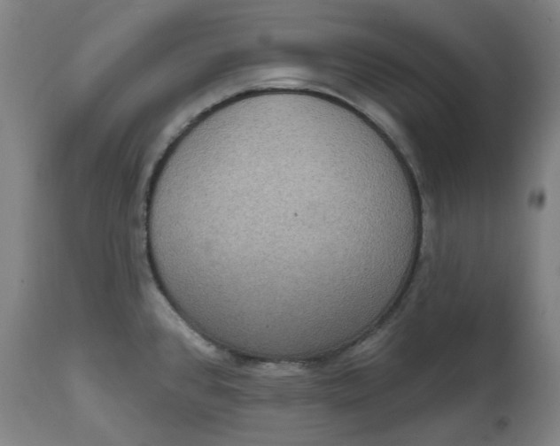 X0000114721384200911121723