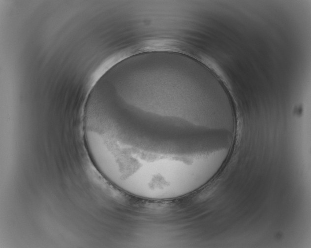 X0000114721386200911121723