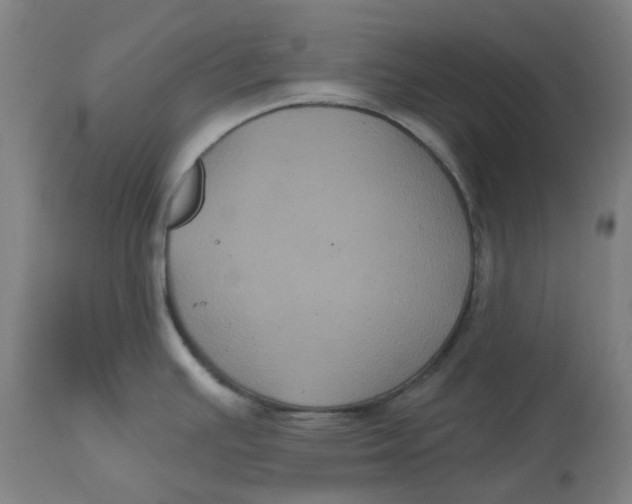 X0000114721391200911121723