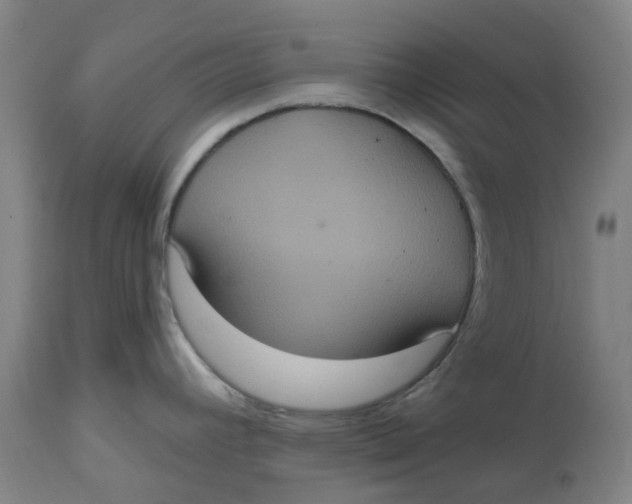 X0000114721392200911121723