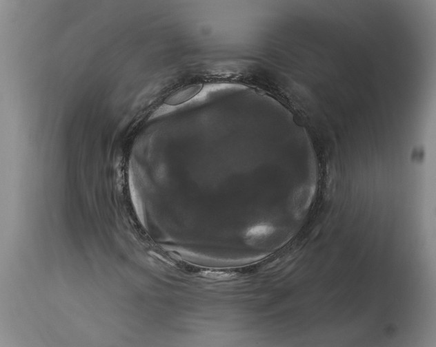 X0000114721394200911121722