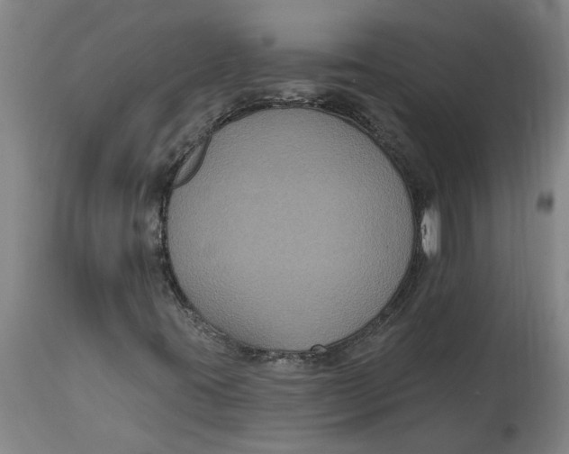 X0000114721395200911121722