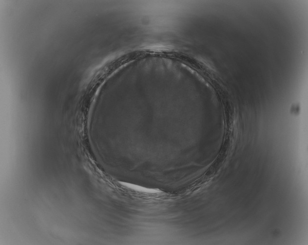 X0000114721398200911121722