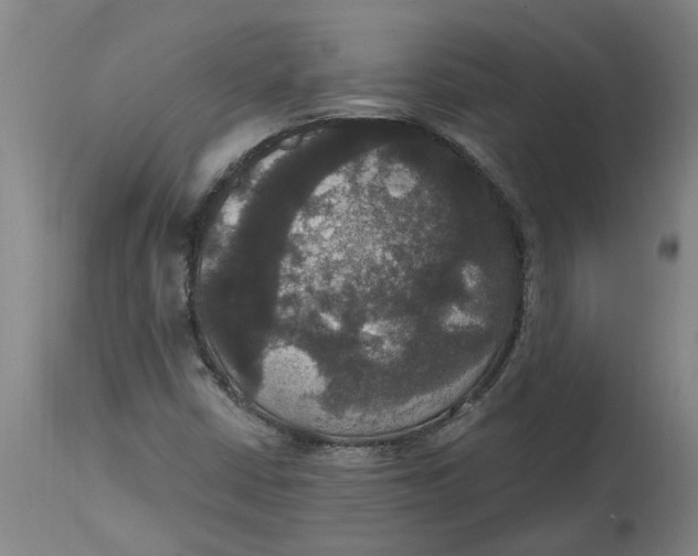 X0000114721402200911121722