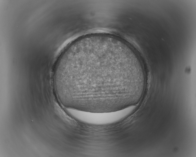 X0000114721404200911121722