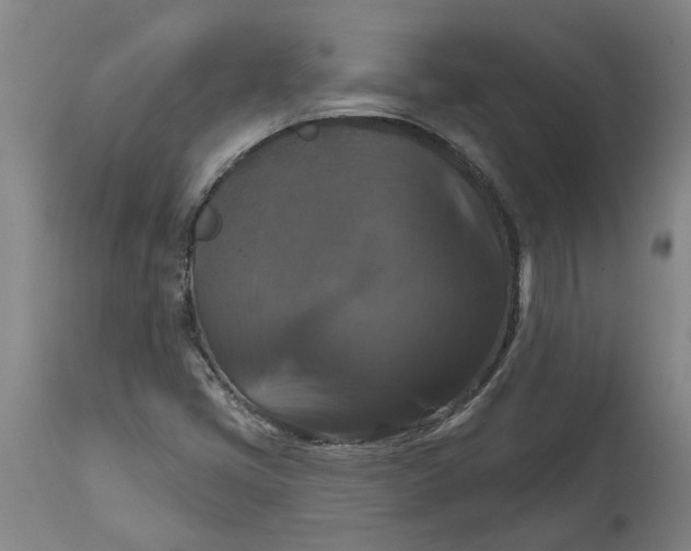 X0000114721405200911121722