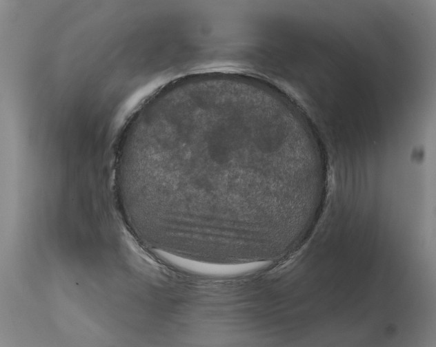 X0000114721406200911121723