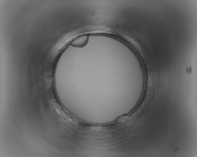 X0000114721407200911121723