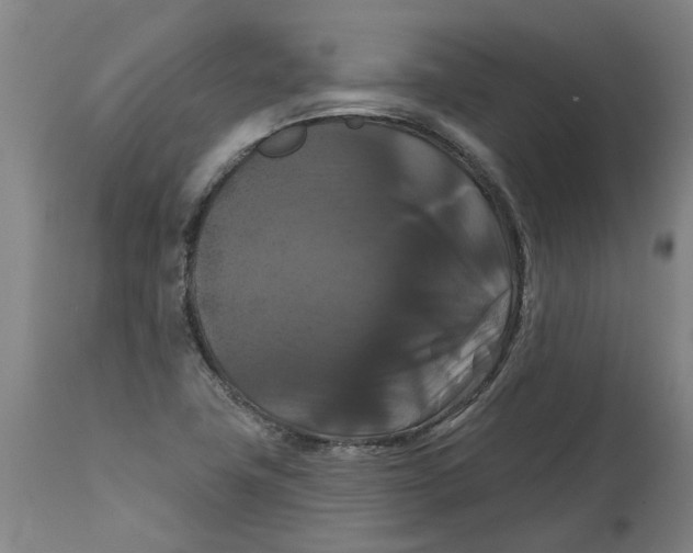 X0000114721411200911121723