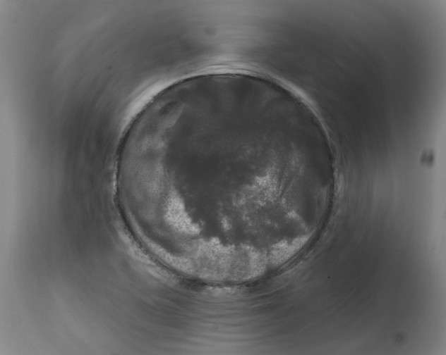 X0000114721415200911121723