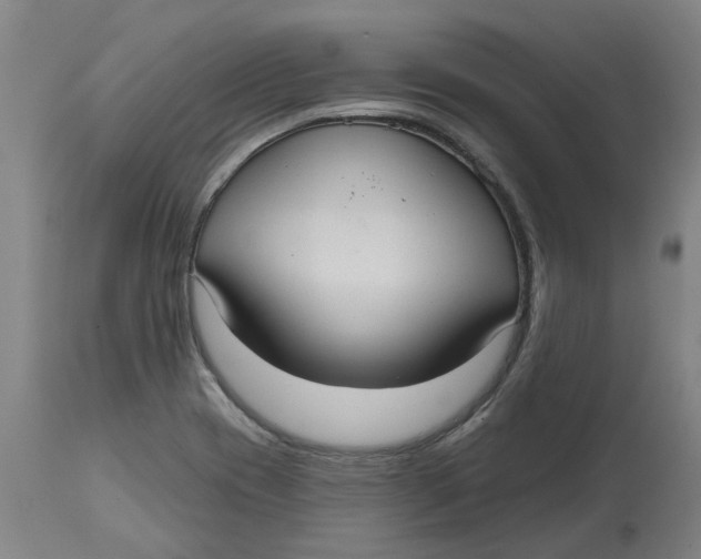 X0000114721417200911121723