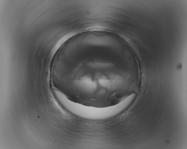 X0000114721418200911121723