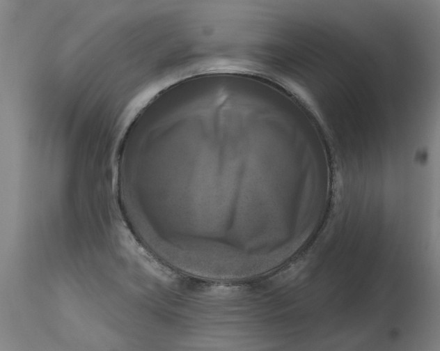 X0000114721419200911121723