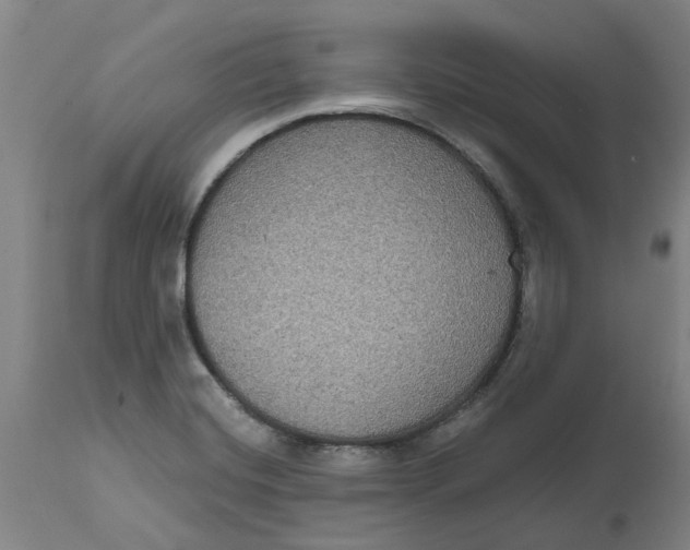 X0000114721420200911121723