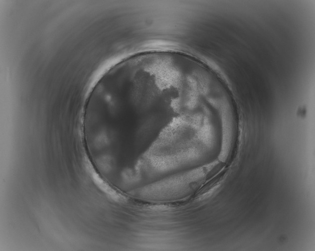 X0000114721421200911121723